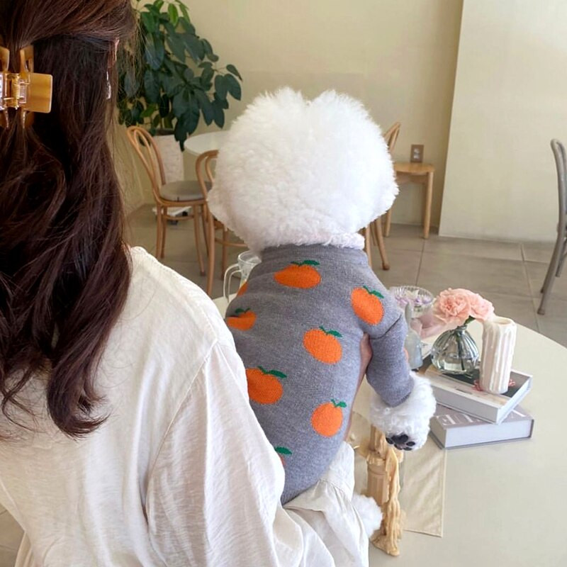 Haine pentru animale de companie toamnă iarnă câine mijlociu mic pulover tricotat lână caldă pisicuță model drăguț cățeluș dulce cardigan chihuahua pudel