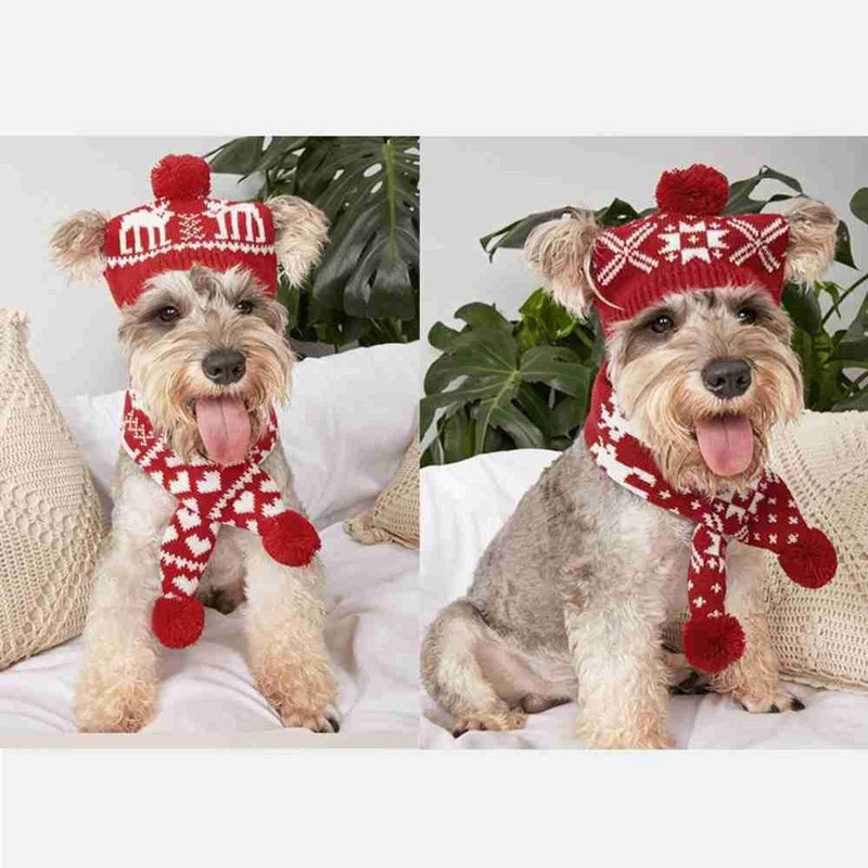 Căciulă de iarnă tricotată cu pompon pentru animale de companie + eșarfă șapcă de pisică de Crăciun Călărie caldă rezistentă la vânt Accesorii pentru câini pentru câini de talie mică și mijlocie Bulldog