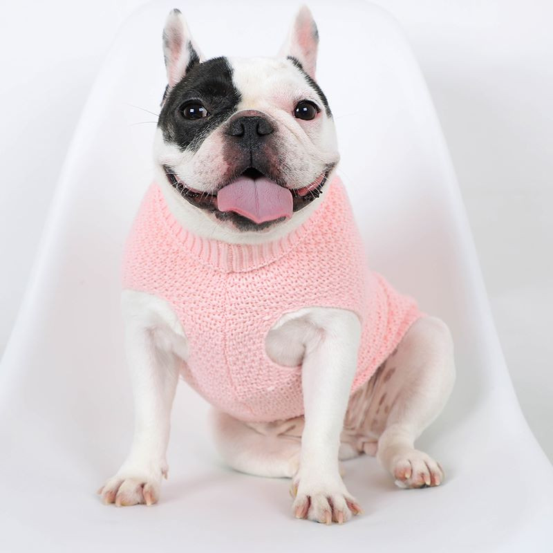 Talvised koerariided Chihuahua pehme kutsikas kassipoeg kassipoeg koerte kostüüm armas puuvillane kampsun Moodsad riided lemmikloomakoertele kassidele