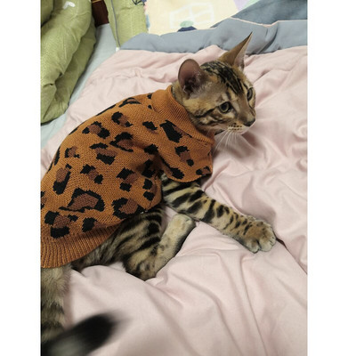 Haina pentru câini verde leopard, pulover cald pentru cățeluș, bichon, hiromi, pulover moale, pentru animale de companie, la modă, haine de toamnă și iarnă, accesorii pentru câini