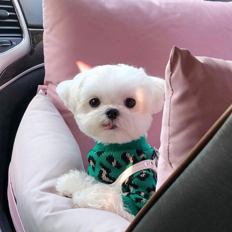 Haina pentru câini verde leopard, pulover cald pentru cățeluș, bichon, hiromi, pulover moale, pentru animale de companie, la modă, haine de toamnă și iarnă, accesorii pentru câini