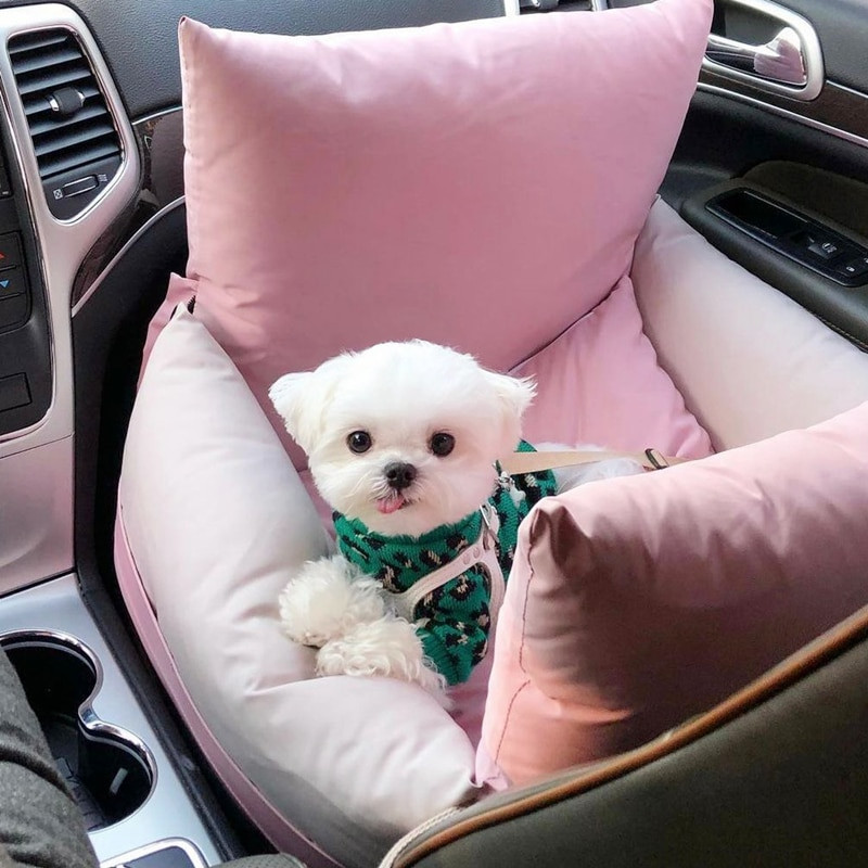 Haina pentru câini verde leopard, pulover cald pentru cățeluș, bichon, hiromi, pulover moale, pentru animale de companie, la modă, haine de toamnă și iarnă, accesorii pentru câini