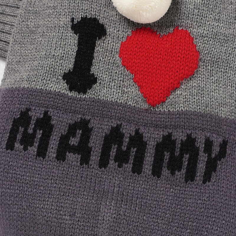 Prilagođena luksuzna zimska odjeća za pse Odjeća za kućne ljubimce Kaputi za male i velike pse Odjeća Dizajnerska odjeća za pse