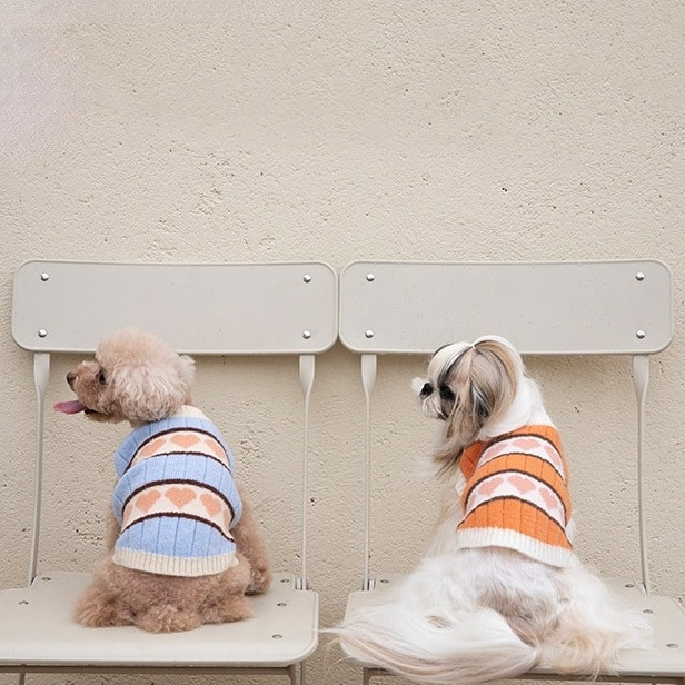 Toamnă Iarnă Dragoste Pulover din catifea arctică Vestă Haine pentru animale de companie Costume pentru pisici și câini Jachetă Teddy Bichon Haine pentru câini pentru câini de talie mică