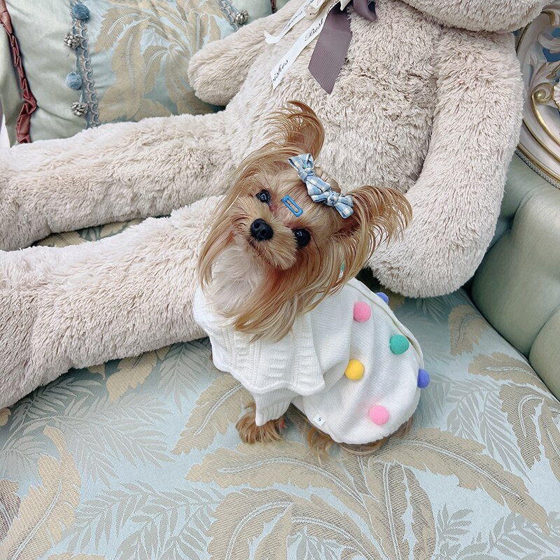 Populiarūs atlapai šunų drabužiai Teddy žieminiai drabužiai Bichon šiltas atviras megztinis Šnauceris Megztinis megztinis šuniukas Gražūs drabužiai