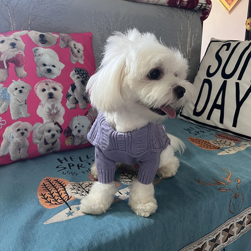 Populiarūs atlapai šunų drabužiai Teddy žieminiai drabužiai Bichon šiltas atviras megztinis Šnauceris Megztinis megztinis šuniukas Gražūs drabužiai