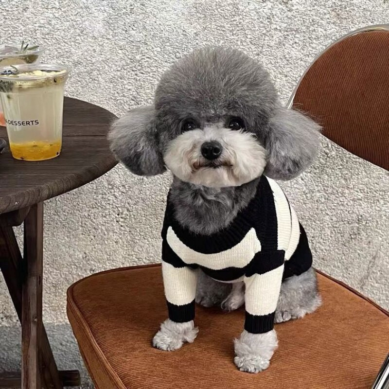 Pruhovaný sveter s písmenami, oblečenie pre psov, módne bavlnené oblečenie pre psov, mačky, malá potlač, roztomilý, jeseň/zima, čierna/biela, chlapčenský, Yorkshire