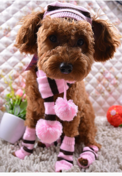 Kepurė Šalikas Kojinių rinkinys šunims Žiemos augintinis šuniukas Šuo Megztos dryžuotos kepuraitės +šalikas +kojinės Maži dideli gyvūnai katės Produktai Kalėdiniai drabužiai