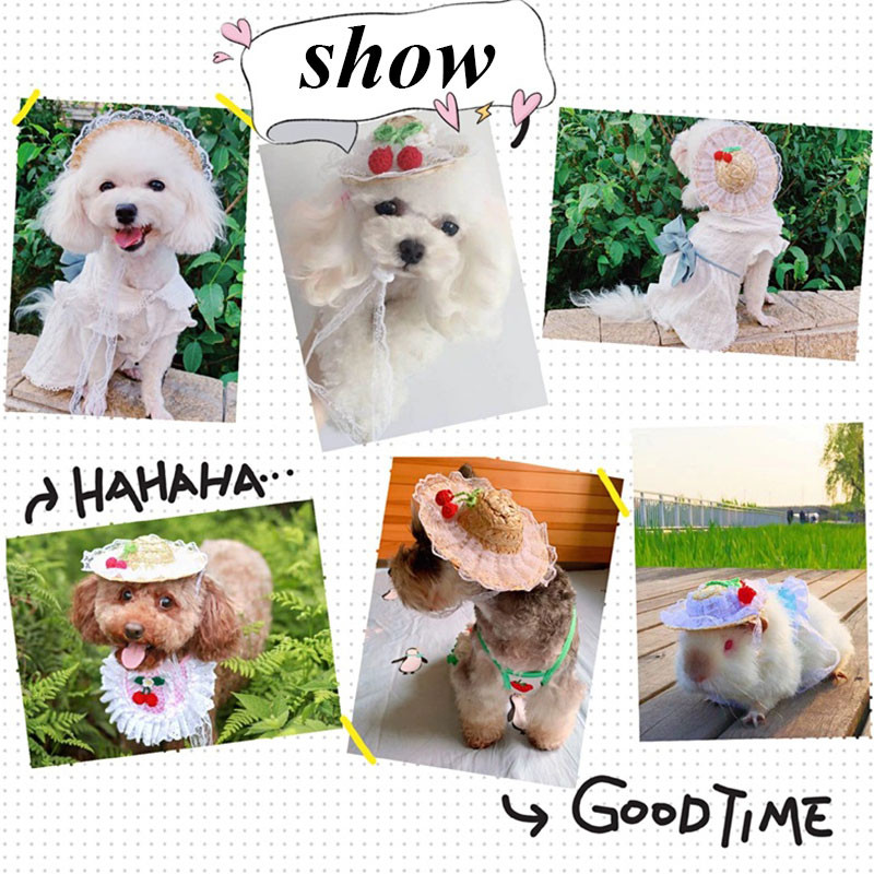 Nový čipkovaný kvetinový klobúk pre mačky a psov, letný slnečník, slamený klobúk, domáce zvieratá, šteňa, doplnky, malý klobúk pre psov, sladké sedmokrásky, klobúky pre mačky, domáce zvieratá, klobúky