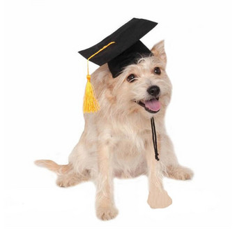 Домашно куче, котка, дипломирана шапка, дишаща лятна жълта шапка с пискюл, кучета, котки, шапки, продукти за домашни любимци, празничен костюм, обличане за Хелоуин