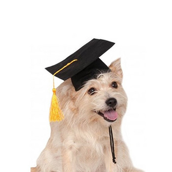 Καπέλο αποφοίτησης για σκύλους κατοικίδιων ζώων Καλοκαιρινό κίτρινο καπέλο με φούντα Σκύλοι γάτες Καπέλα Προϊόντα κατοικίδιων Διακοπές αποκριάτικο φόρεμα