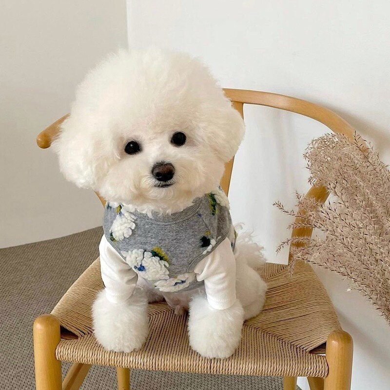 Kvetinová výšivka pre domáce zvieratá, kabáty pre psov, zimné teplé oblečenie pre psov, flísové oblečenie pre šteniatka pre malých a stredných psov, mikina s kapucňou, čivava, yorkshirský a perský pes