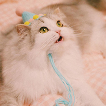 Καπέλο κατοικίδιων ζώων Χειροποίητο βελούδινο καπέλο γενεθλίων με μπάλα φωτογραφίας στηρίγματα Διακόσμηση κεφαλιού σκύλου γάτας