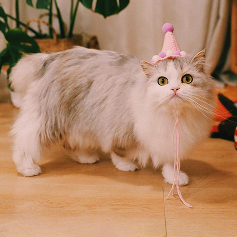 Pălărie pentru animale de companie țesute manual pentru zi de naștere, șapcă cu minge de pluș, accesorii fotografice, decor pentru cap de câine de pisică