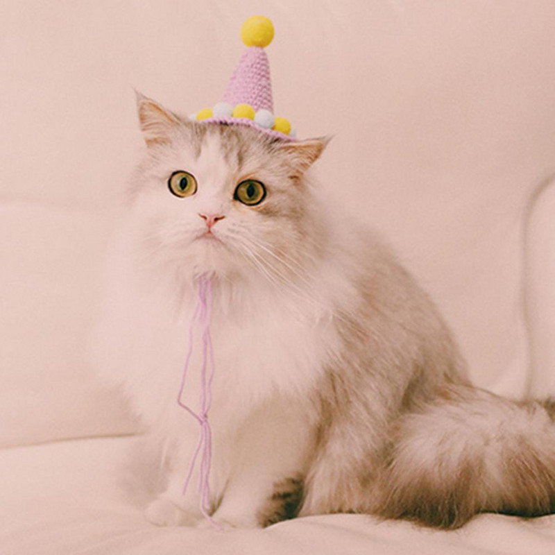 Pălărie pentru animale de companie țesute manual pentru zi de naștere, șapcă cu minge de pluș, accesorii fotografice, decor pentru cap de câine de pisică