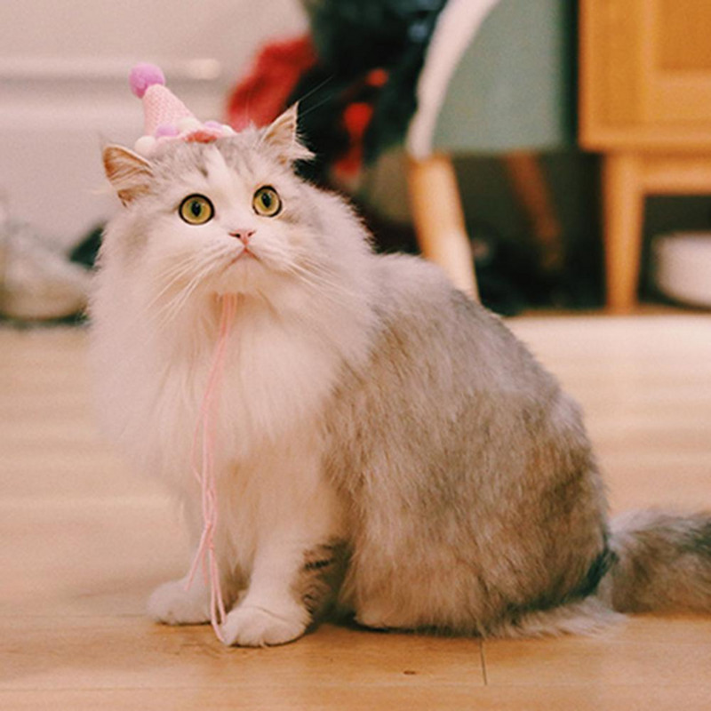 Pălărie pentru animale de companie țesute manual pentru zi de naștere, șapcă cu minge de pluș, accesorii fotografice, decor pentru cap de câine de pisică