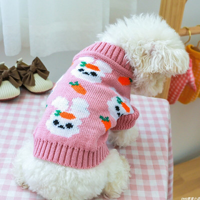 2021 m. Nauji naminių gyvūnėlių meškiuko drabužiai katės ir meškiuko šilti megztiniai šuniukai megzti megztiniai minkšti naminiai drabužiai dviem kojoms