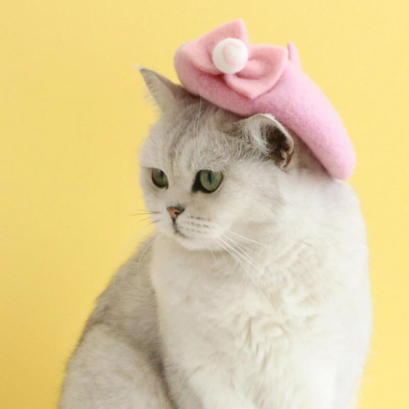 Барета за домашни любимци, привличаща вниманието шапка за кучета, шапка с панделка за домашни любимци, кучета, котки, шапка за котки, шапка за домашни любимци, привличаща вниманието шапка за кучета, шапка за домашни любимци, кучета, котки