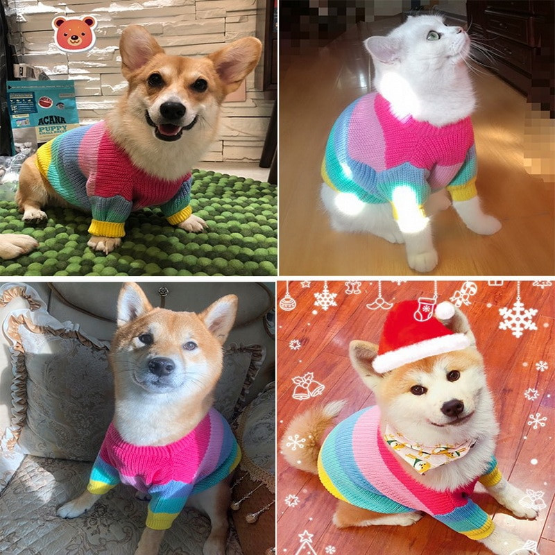 Πουλόβερ Rainbow Puppy Dog Χειμερινά ζεστά ρούχα για μικρά σκυλιά Γαλλικά μπουλντόγκ Χριστουγεννιάτικη στολή Πλεκτομηχανές σκυλιών Mascotas