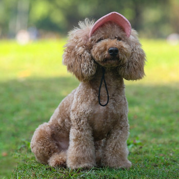 Καπέλο μπέιζμπολ Sunny Dog Καπέλο Γαλλικό μπουλντόγκ τεριέ Schnauzer για γάτα Αξεσουάρ για τρίχες κουταβιών Μικρό μεσαίο μεγάλο ζώο