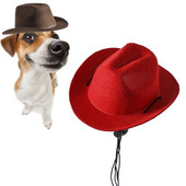 Western Cowboy koeramüts kasside tänavapeole lemmikloomade kaunistamiseks Lemmikloomatarvikud