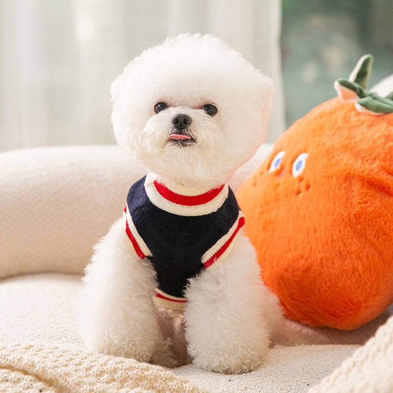 Spaceman Vest Koera riided Sügis- ja Talvine Kutsika Soe Kampsun Lemmikkaru Kahe jalaga Pehme Jumper Lemmikloomatarbed