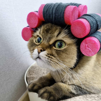 Κομψό για κατοικίδια Κομψό Χειροποίητο Υπέροχο αστείο καπέλο Κουτάβι Καπάκι για γάτα Αξεσουάρ για γάτες Καπέλα για κουτάβι Καπέλα κεφαλής για γάτα