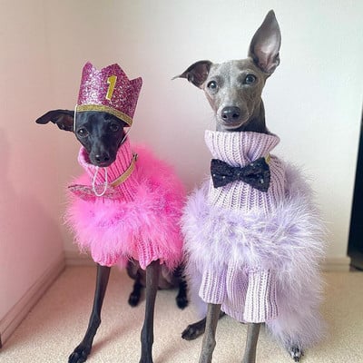 Elegantné perie z mäkkého peria, oblečenie pre domáce zvieratá, zimný teplý sveter pre psov, luxusný dizajnérsky kostým pre šteniatka, oblečenie pre čivavy, oblečenie pre psov