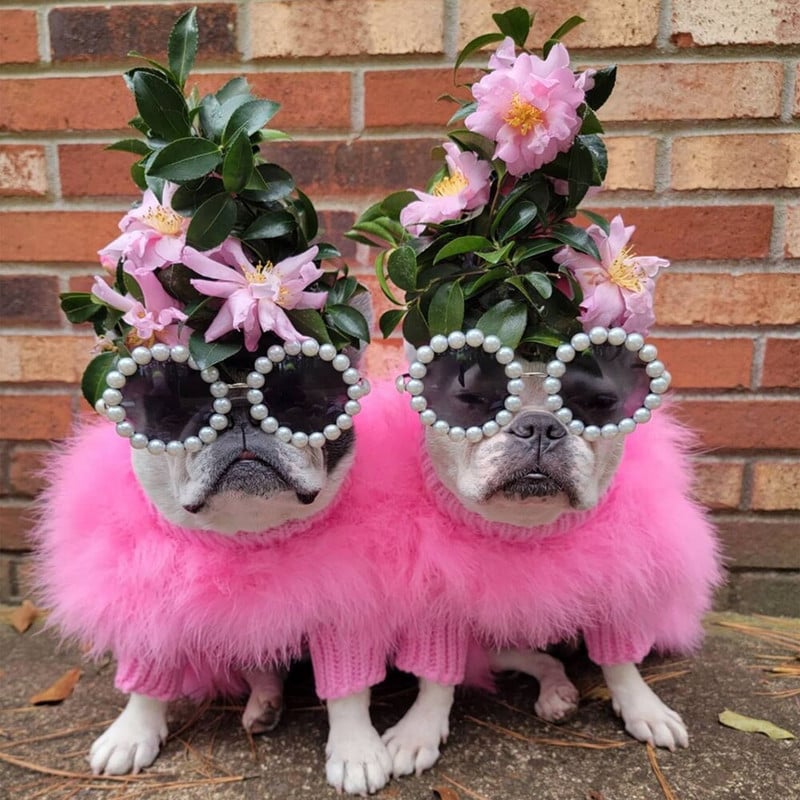 Elegantné perie z mäkkého peria, oblečenie pre domáce zvieratá, zimný teplý sveter pre psov, luxusný dizajnérsky kostým pre šteniatka, oblečenie pre čivavy, oblečenie pre psov