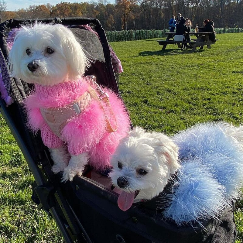 Elegantné perie z mäkkého peria, oblečenie pre domáce zvieratá, zimný teplý sveter pre psov, luxusný dizajnérsky kostým pre šteniatka, oblečenie pre čivavy, oblečenie pre psov