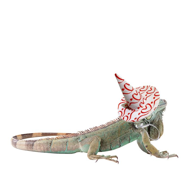 Lemmiklooma kutsika peakatte kangast Ystävänpäivä peokostüüm Lemmiklooma koera müts Reguleeritav trükitud mütsi müts fotorekvisiit kassilindude mao koerale