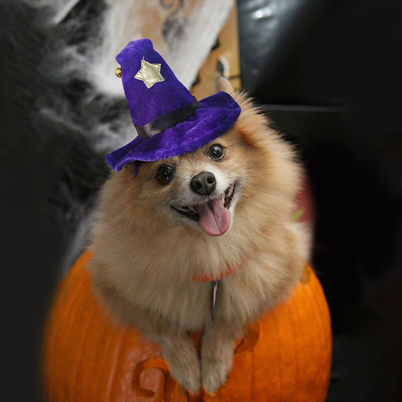 Naminių gyvūnėlių kostiumų kepurė Naujovė Reguliuojama kačių vedlio kepurė Naminio gyvūno raganos kepurė šunų galvos apdangalai Helovino šuniuko suknelei kepuraitė naminių gyvūnėlių priedai