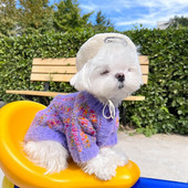 Fleece Winter Pet Dogs πουλόβερ Πολύχρωμες ρίγες Ρούχα για σκύλους Ρούχα Love Button Plus Velvet Warm for Small Dogs Ρούχα Τσιουάουα