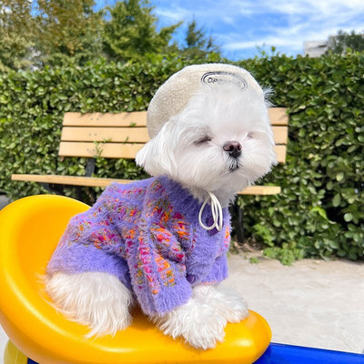 Fleece Winter Pet Dogs πουλόβερ Πολύχρωμες ρίγες Ρούχα για σκύλους Ρούχα Love Button Plus Velvet Warm for Small Dogs Ρούχα Τσιουάουα