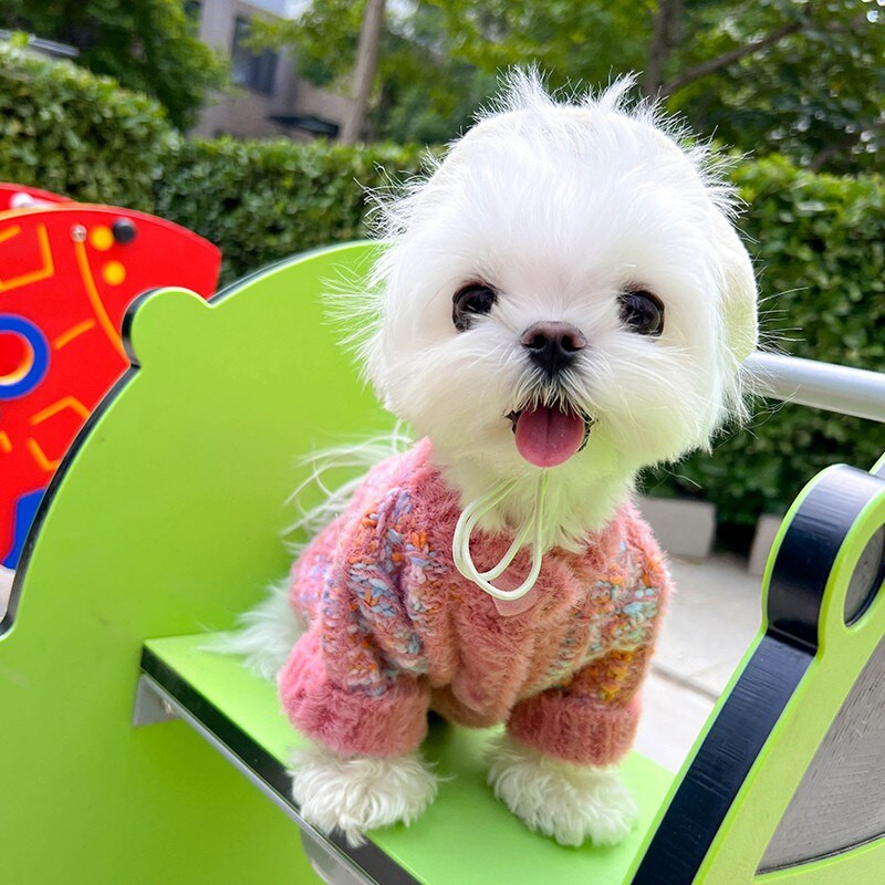 Flísový zimný sveter pre psov, farebné pruhy, oblečenie pre psov, gombíky a zamat, teplé pre malé psy, oblečenie pre čivavy