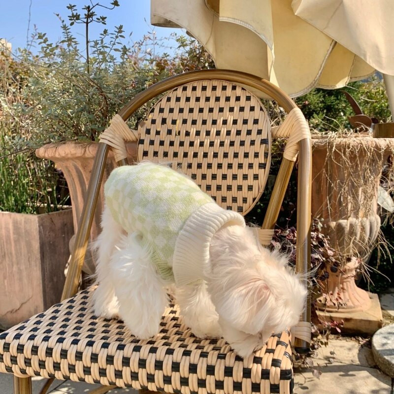 Sladký kockovaný sveter pre psov, oblečenie pre domáce zvieratá, bavlnené teplé oblečenie pre psov, mačky, klopa, roztomilý, jeseň/zima, modrá, móda pre dievčatá a chlapcov, Yorkshire