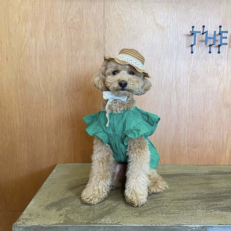 INS Čipkovaná slamená čiapka pre mačky, domáce zvieratá, psov, malého psa, plyšového bišóna, opaľovací krém, slnečný klobúk, pastoračná dekorácia, foto pokrývka hlavy