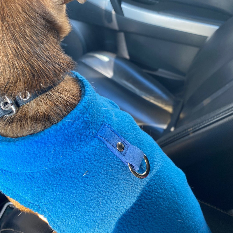 Koerariided Paksendatud puuvillane lemmikloomavest Pehme karusnahk Lemmikloomariided Kutsikate riided, mis sobivad erinevatele tõugudele Koerte mantlid soojas hoidmiseks