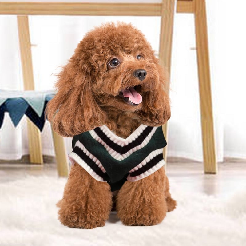Teplé oblečenie pre psov pre malé a stredné psy, sveter pre mačky v štýle univerzity, oblečenie pre domáce zvieratá pre čivavy, buldogy, šteniatko, kostým, zimný kabát