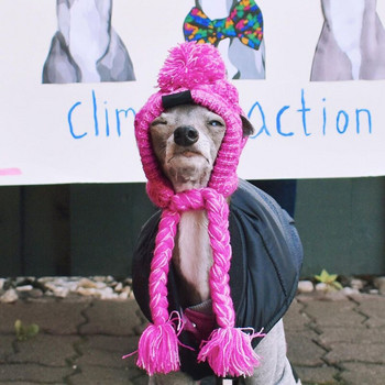 Ζεστό μικρό καπέλο σκύλου Χειμερινό καπέλο Chihuahua Puffball Αντιανεμικό γαλλικό μπουλντόγκ μεσαίου μεγέθους σκύλους γάτες καπέλο διακοσμητικά αξεσουάρ για κατοικίδια