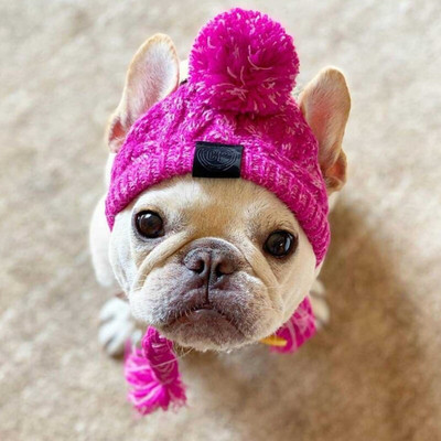 Soe väike koeramüts talvine chihuahua kukeseen Tuulekindel prantsuse buldog keskmise suurusega koerad kassid müts dekoratiivsed lemmikloomatarvikud