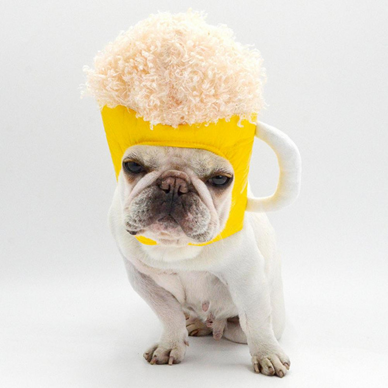 Universaalne hea välimusega uudsus kassid koerad õllekruusimüts Pehme tekstuuriga lemmikloomamüts erksavärviline sünnipäevapeoks