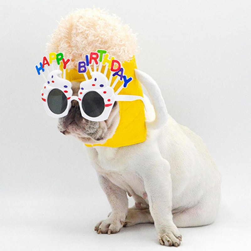 Universaalne hea välimusega uudsus kassid koerad õllekruusimüts Pehme tekstuuriga lemmikloomamüts erksavärviline sünnipäevapeoks