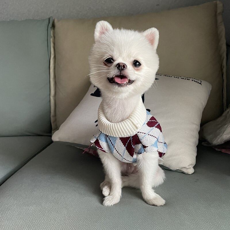 Πλεκτό πουλόβερ για κατοικίδια Puppy καρό χειμερινά ρούχα σκύλου Yorkshire Ζεστό πουλόβερ Teddy αμάνικο Nice δίποδα κατοικίδια προμήθειες