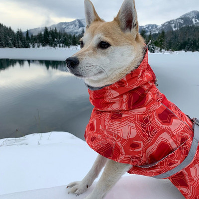 Suur koera lemmiklooma jope õues külma ja sooja veekindel lemmiklooma jope sügis- ja talvine lemmiklooma riided L-4XL