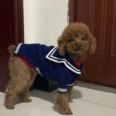 Psí kardigan sveter kabát zima mačka šteňa malé oblečenie pre psov pletené oblečenie čivava yorkshirský teriér pomeranský teriér maltézsky pudel oblečenie S