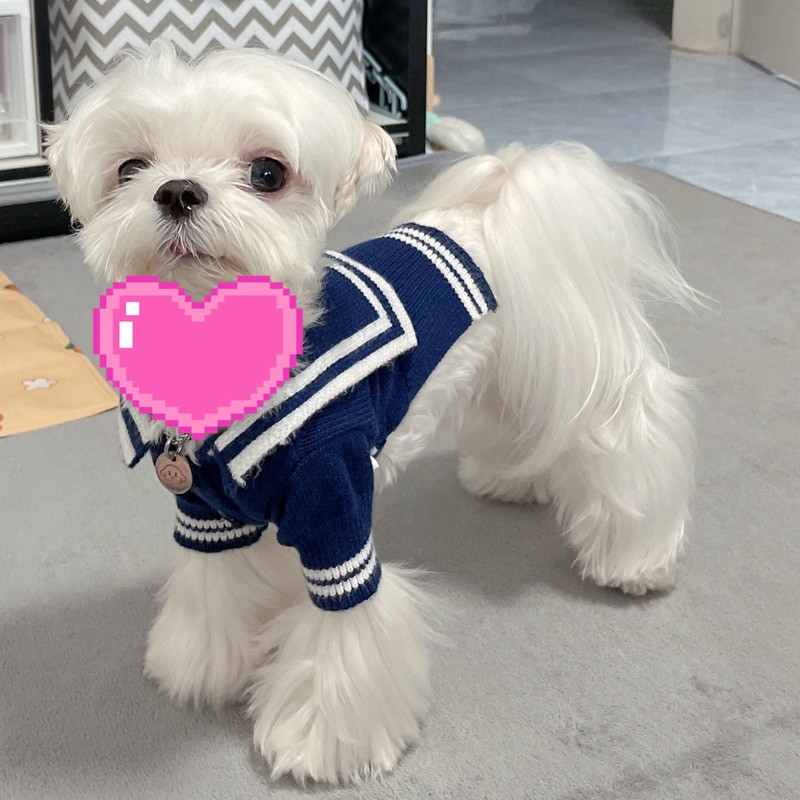 Psí kardigan sveter kabát zima mačka šteňa malé oblečenie pre psov pletené oblečenie čivava yorkshirský teriér pomeranský teriér maltézsky pudel oblečenie S