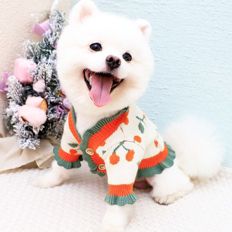 Ρούχα για σκύλους Χειμερινό Πλεκτό Πλεκτό Πουλόβερ με τύπωμα Cherry για σκύλους Chihuahua Ζακέτα για σκύλους