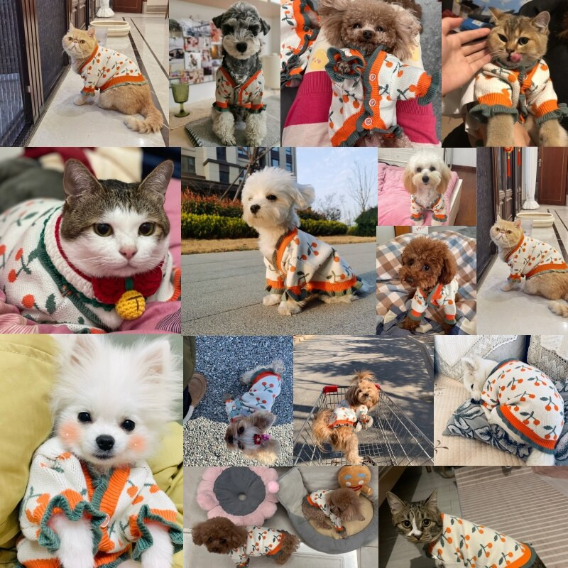 Ρούχα για σκύλους Χειμερινό Πλεκτό Πλεκτό Πουλόβερ με τύπωμα Cherry για σκύλους Chihuahua Ζακέτα για σκύλους