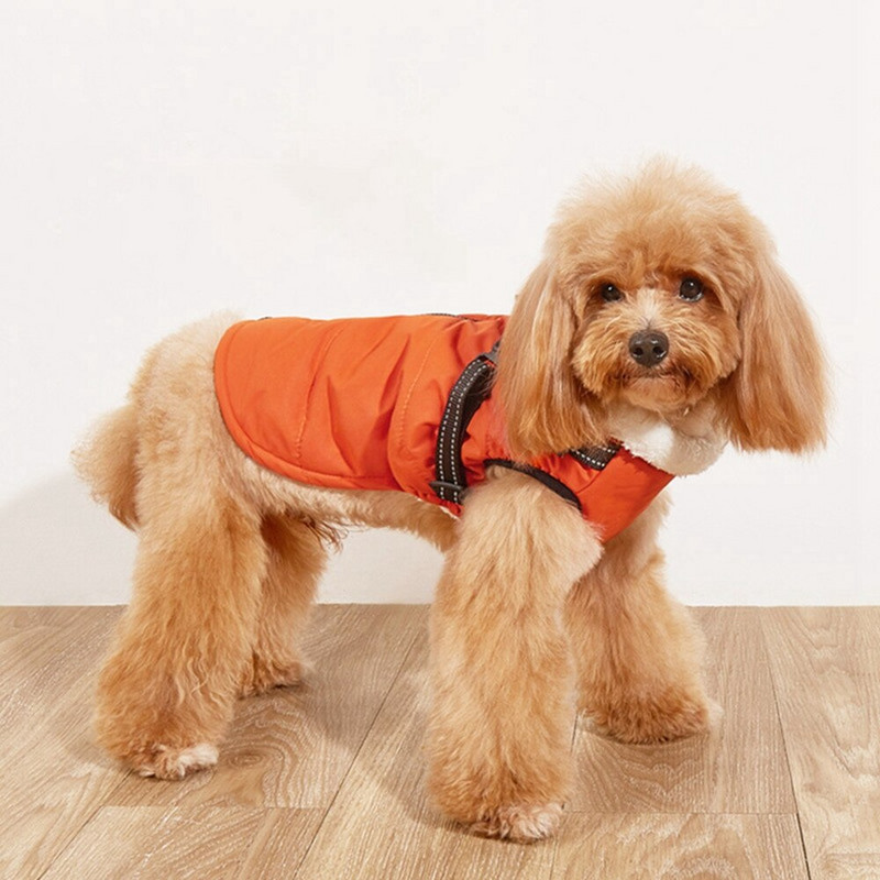 Χειμερινά παλτά για σκύλους Άνετο αντανακλαστικό μπουφάν με λουρί για κρύο καιρό, ζεστό μπουφάν για σκύλους για κουτάβια, μεσαίου μεγέθους, γάτα